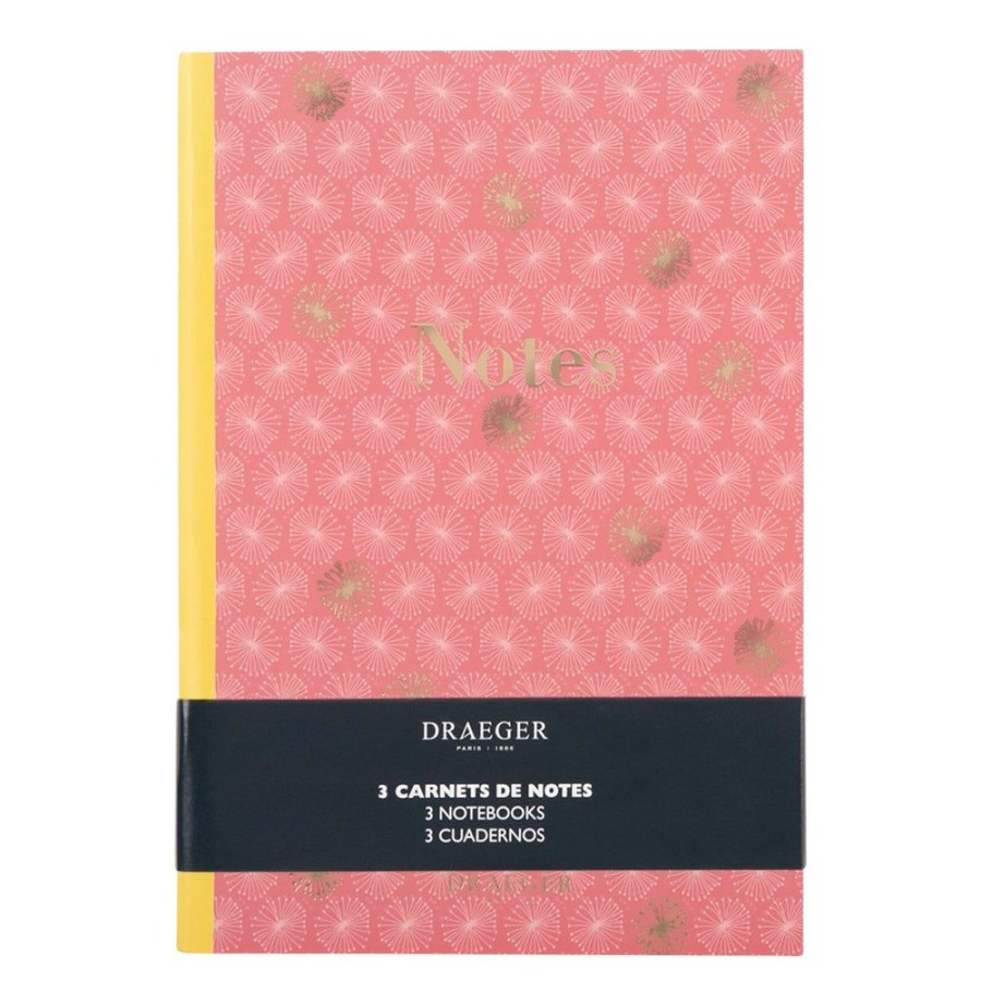 Draeger Paris Lot De 3 Carnets A5 Lignes - Rose, Vert Wholesale