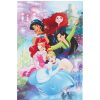 Draeger Paris Carte Anniversaire Princesses Disney Wholesale