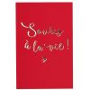 Draeger Paris Carte Souris A La Vie Lettres Dorees Best